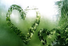 探索天涯隆胸论坛：聊聊大家的隆胸故事