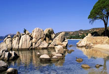 探索天涯隆胸论坛：聊聊大家的隆胸故事